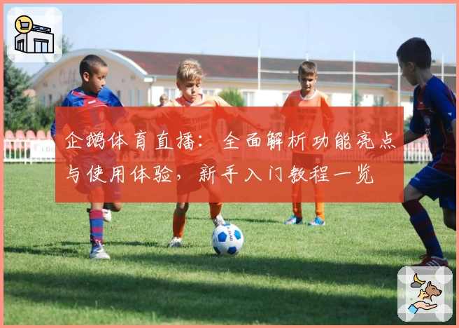 企鹅体育直播：全面解析功能亮点与使用体验，新手入门教程一览