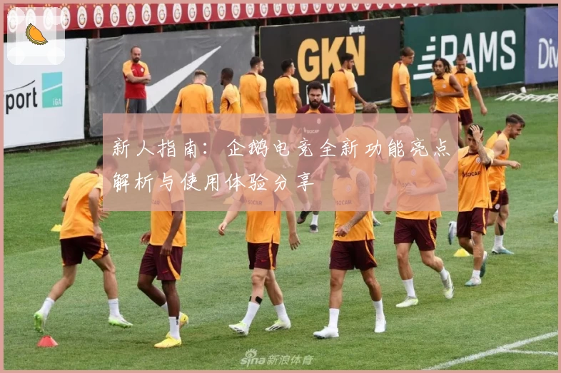 新人指南：企鹅电竞全新功能亮点解析与使用体验分享