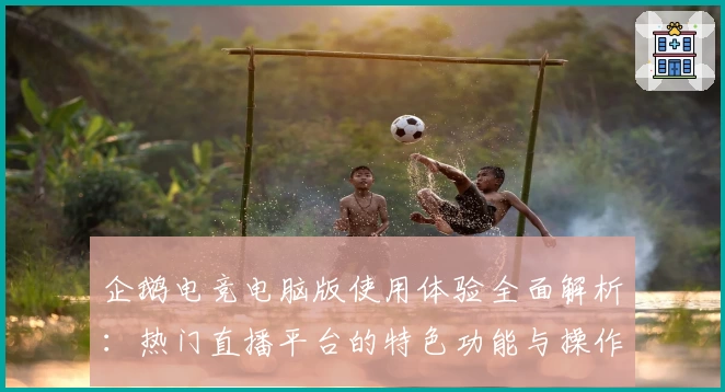 企鹅电竞电脑版使用体验全面解析：热门直播平台的特色功能与操作指南