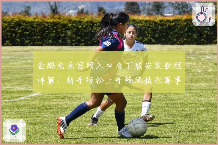 企鹅电竞官网入口与下载安装教程详解，新手轻松上手畅玩精彩赛事
