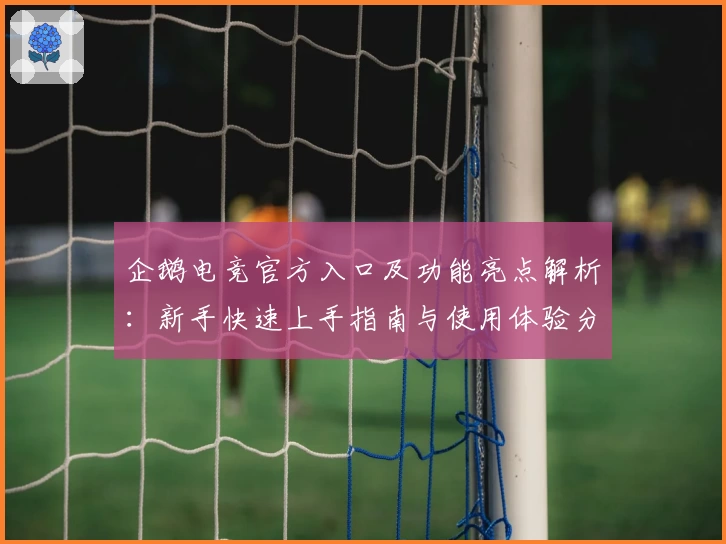 企鹅电竞官方入口及功能亮点解析:新手快速上手指南与使用体验分享