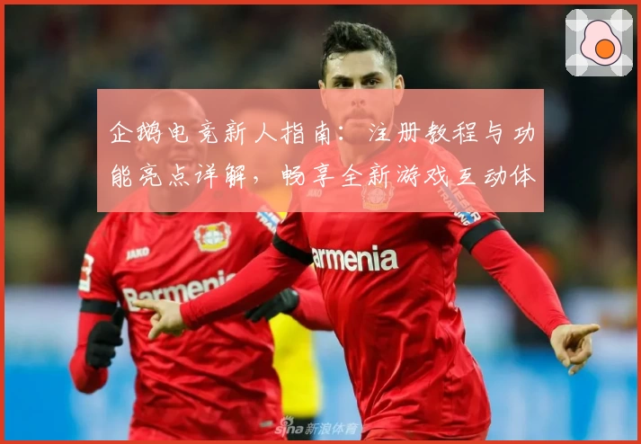 企鹅电竞新人指南:注册教程与功能亮点详解,畅享全新游戏互动体验