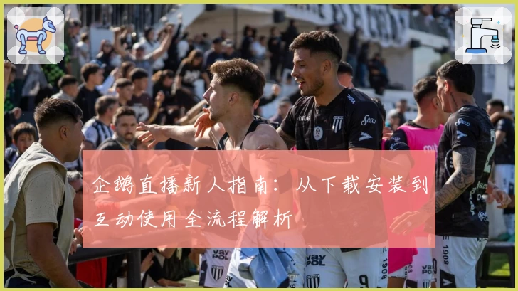 企鹅直播新人指南：从下载安装到互动使用全流程解析