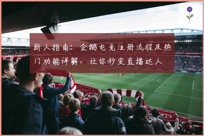 新人指南：企鹅电竞注册流程及热门功能详解，让你秒变直播达人