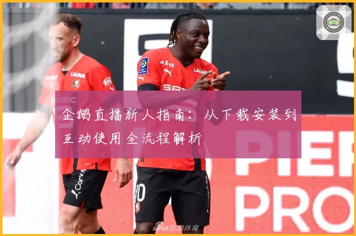 企鹅直播新人指南：从下载安装到互动使用全流程解析