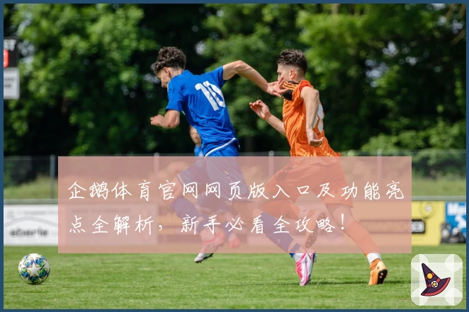 企鹅体育官网网页版入口及功能亮点全解析，新手必看全攻略！