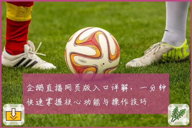 企鹅直播网页版入口详解，一分钟快速掌握核心功能与操作技巧