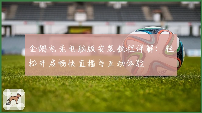 企鹅电竞电脑版安装教程详解：轻松开启畅快直播与互动体验