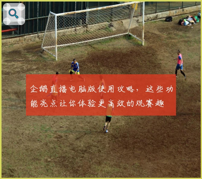 企鹅直播电脑版使用攻略，这些功能亮点让你体验更高效的观赛趣