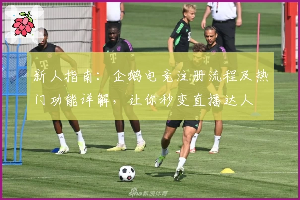 新人指南：企鹅电竞注册流程及热门功能详解，让你秒变直播达人